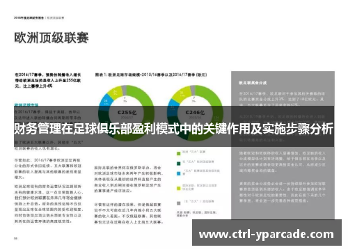 财务管理在足球俱乐部盈利模式中的关键作用及实施步骤分析