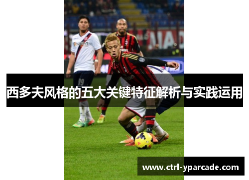 西多夫风格的五大关键特征解析与实践运用 西多夫风格的五大关键特征解析与实践运用