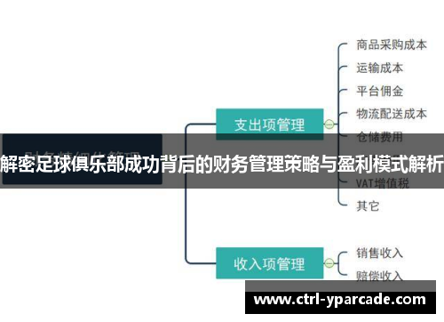 解密足球俱乐部成功背后的财务管理策略与盈利模式解析 解密足球俱乐部成功背后的财务管理策略与盈利模式解析